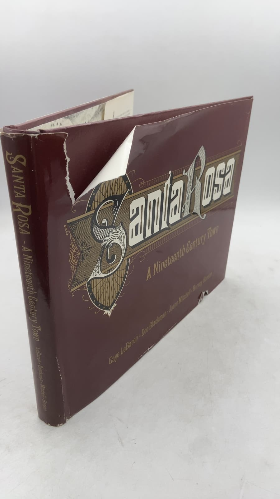Santa Rosa: A Nineteenth Century Town by Gaye LeBaron, Doc Blackman, Jaime Mitchell, Harvey Hansen - front cover