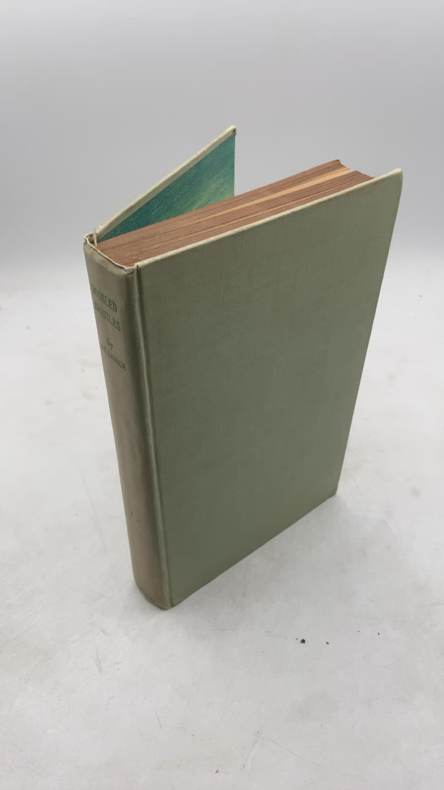 Dogsled Apostles by A. H. Savage - front cover