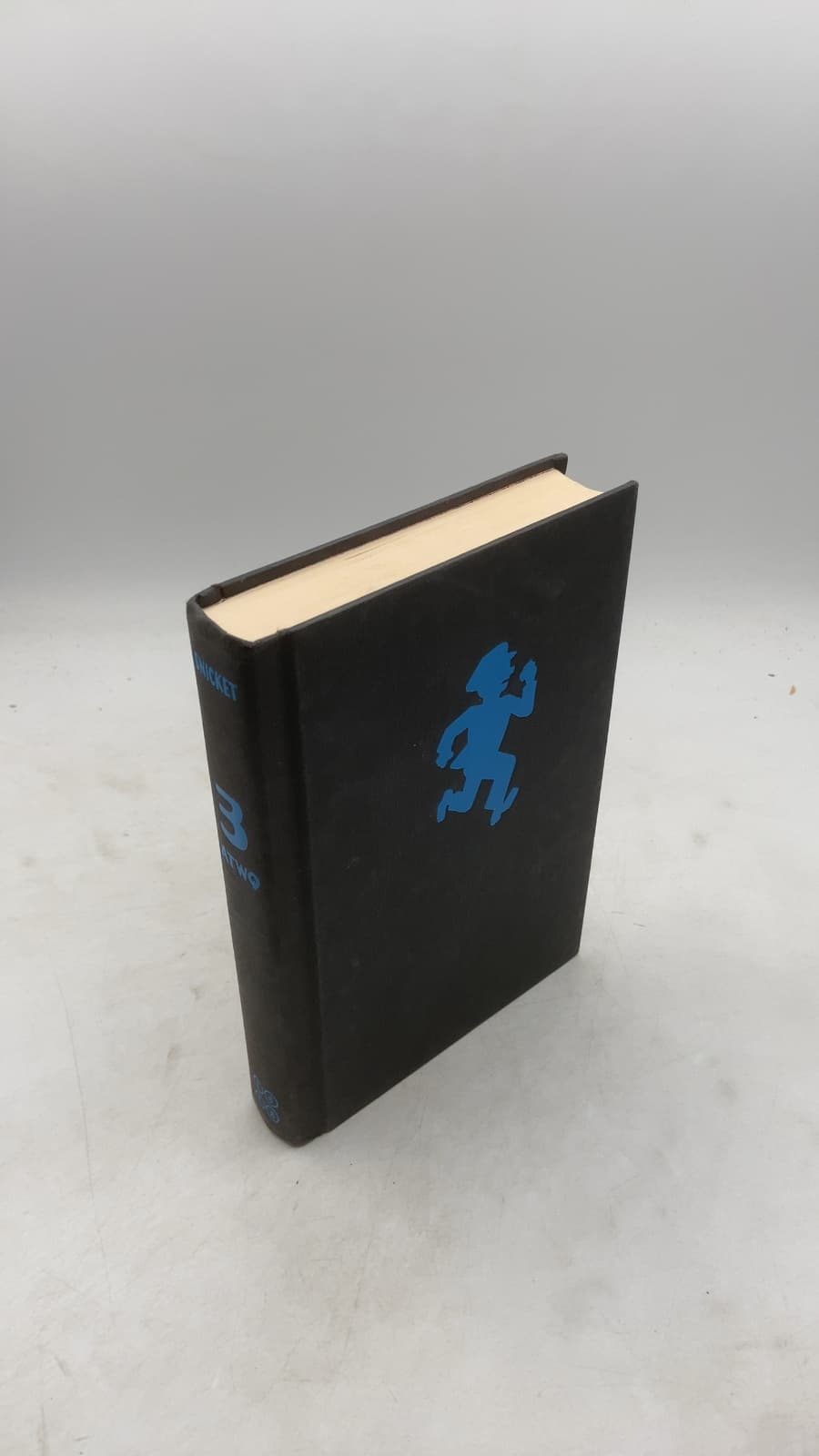 Shouldn't You Be in School? by Lemony Snicket - front cover