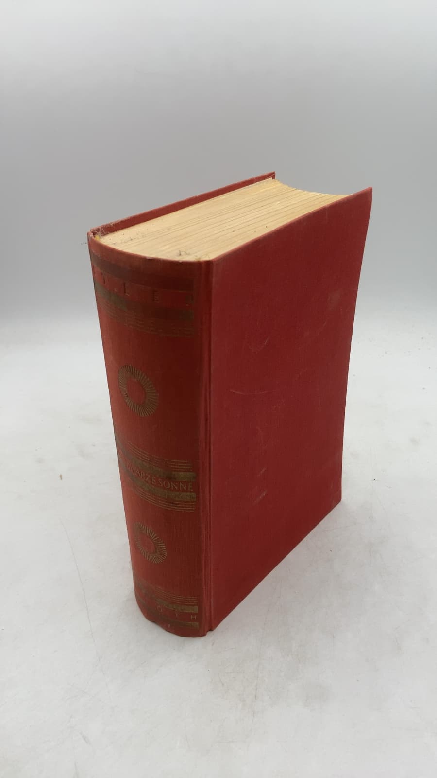 DIE Schwarze Sonne by Marguerite Steen - front cover
