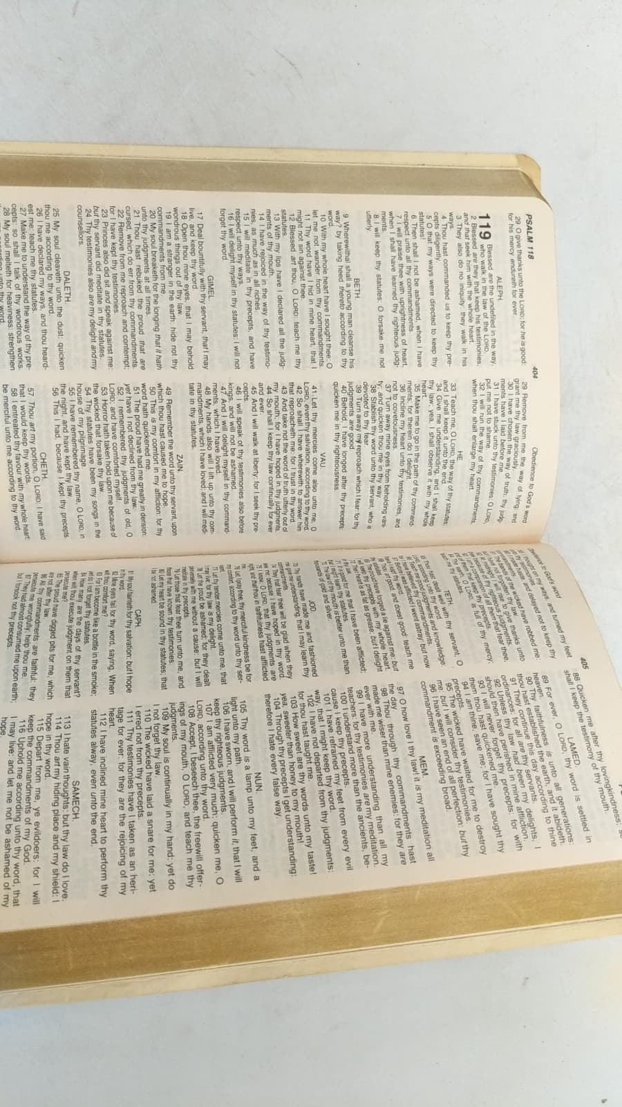 Holy Bible - additional view