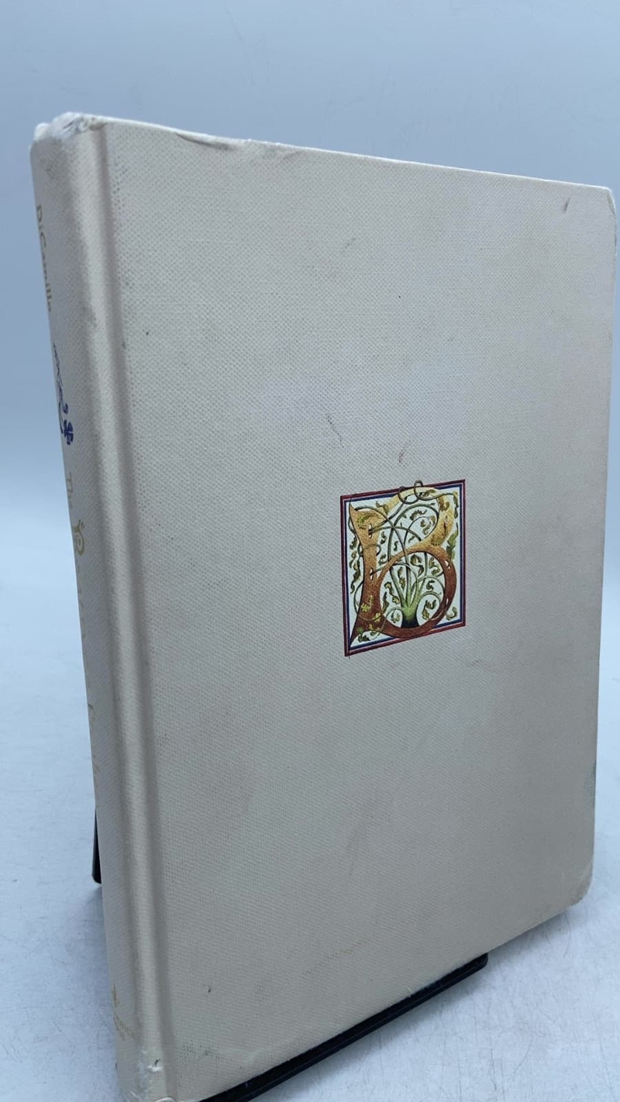 The Beatryce Prophecy by Kate DiCamillo - front cover