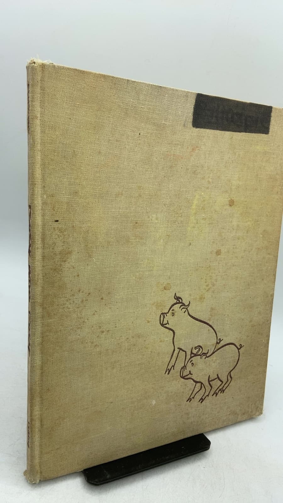 Roly and Poly by Jane Rietveld - front cover