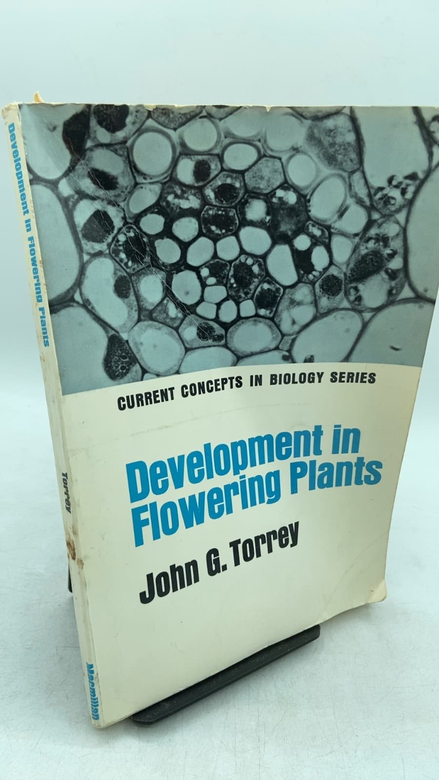 Development in Flowering Plants by John G. Torrey - front cover