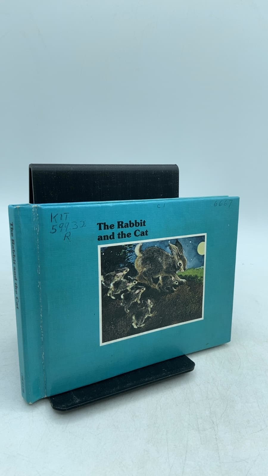 The Rabbit and the Cat by Bill Martin Jr. - front cover
