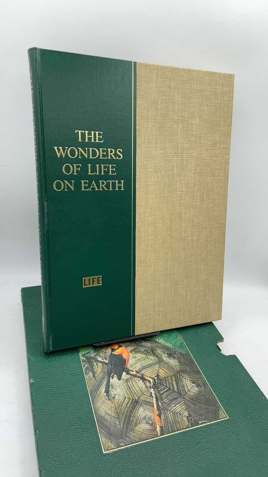 THE Wonders OF Life ON Earth by BY THE Editors OF Life AND Lincoln Barnett - front cover