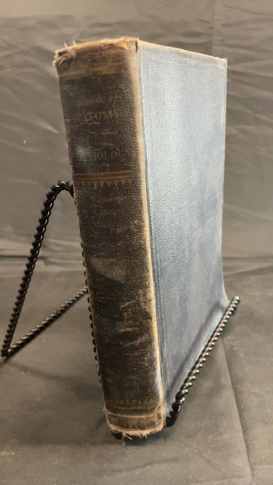 Textbook of Anatomy and Physiology by Diana Clifford Kimber, Carolyn E. Gray, Caroline E. Stackpole - front cover