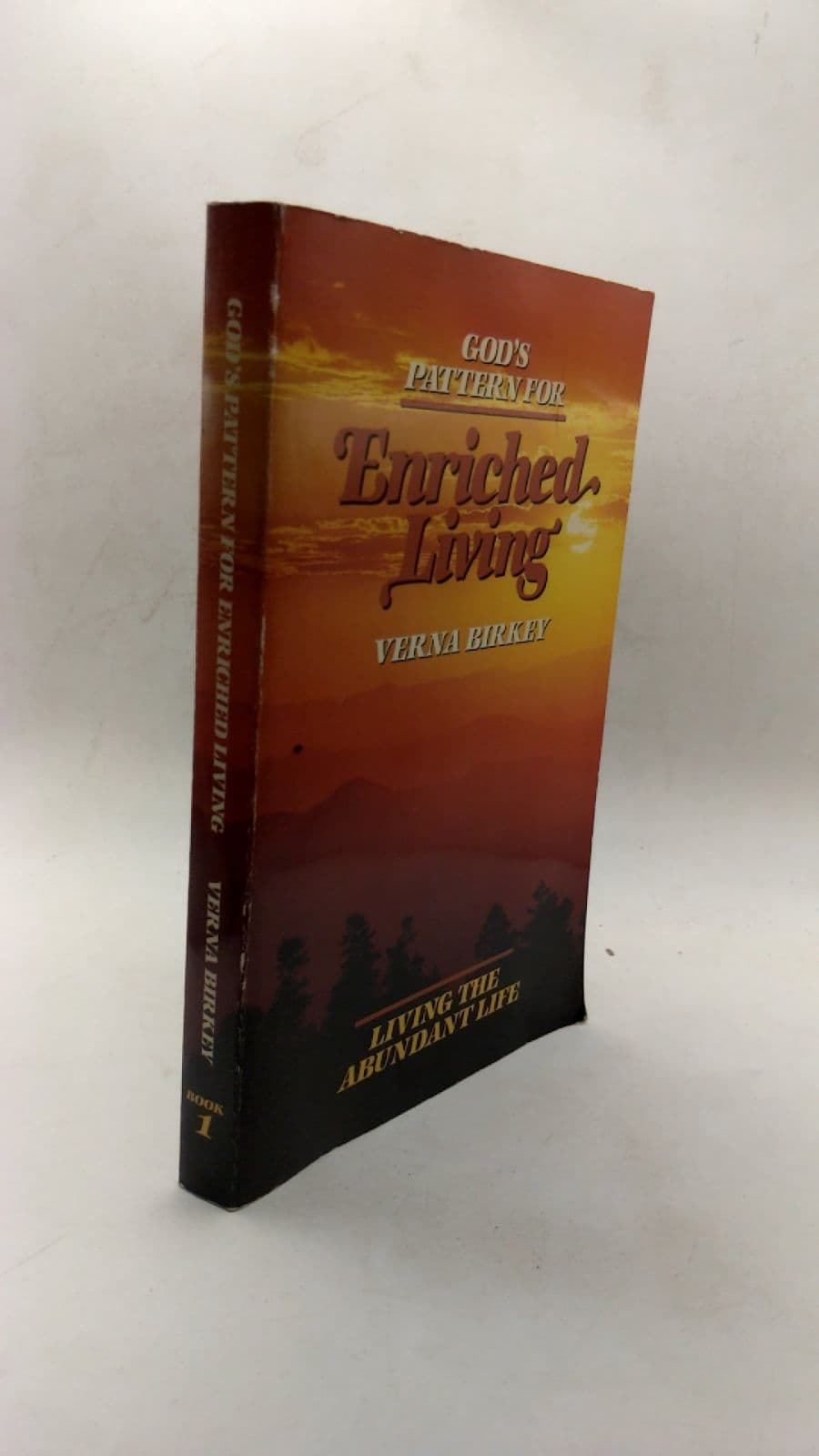 God's Pattern for Enriched Living by Verna Birkey - front cover