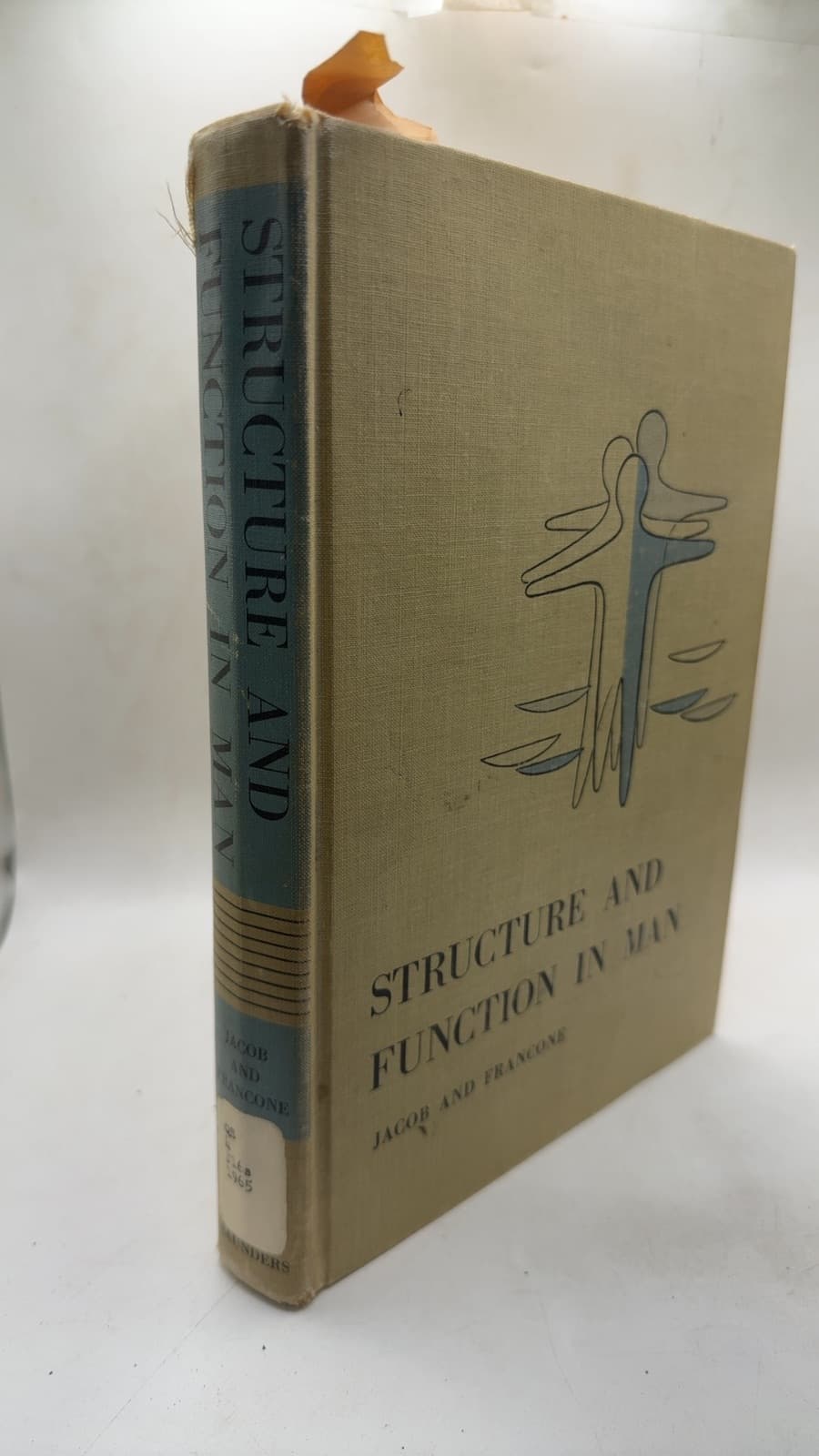 Structure and Function in Man by Stanley W. Jacob, M.D., F.A.C.S. and Clarice Ashworth Francone - front cover
