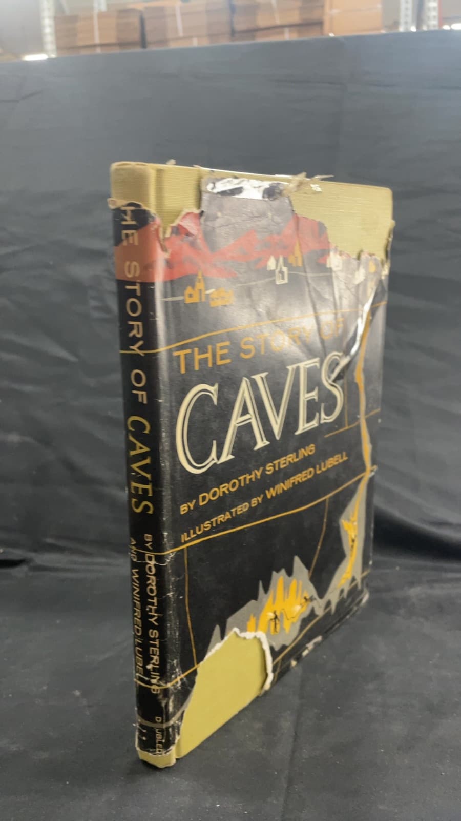 The Story of Caves by Dorothy Sterling - front cover