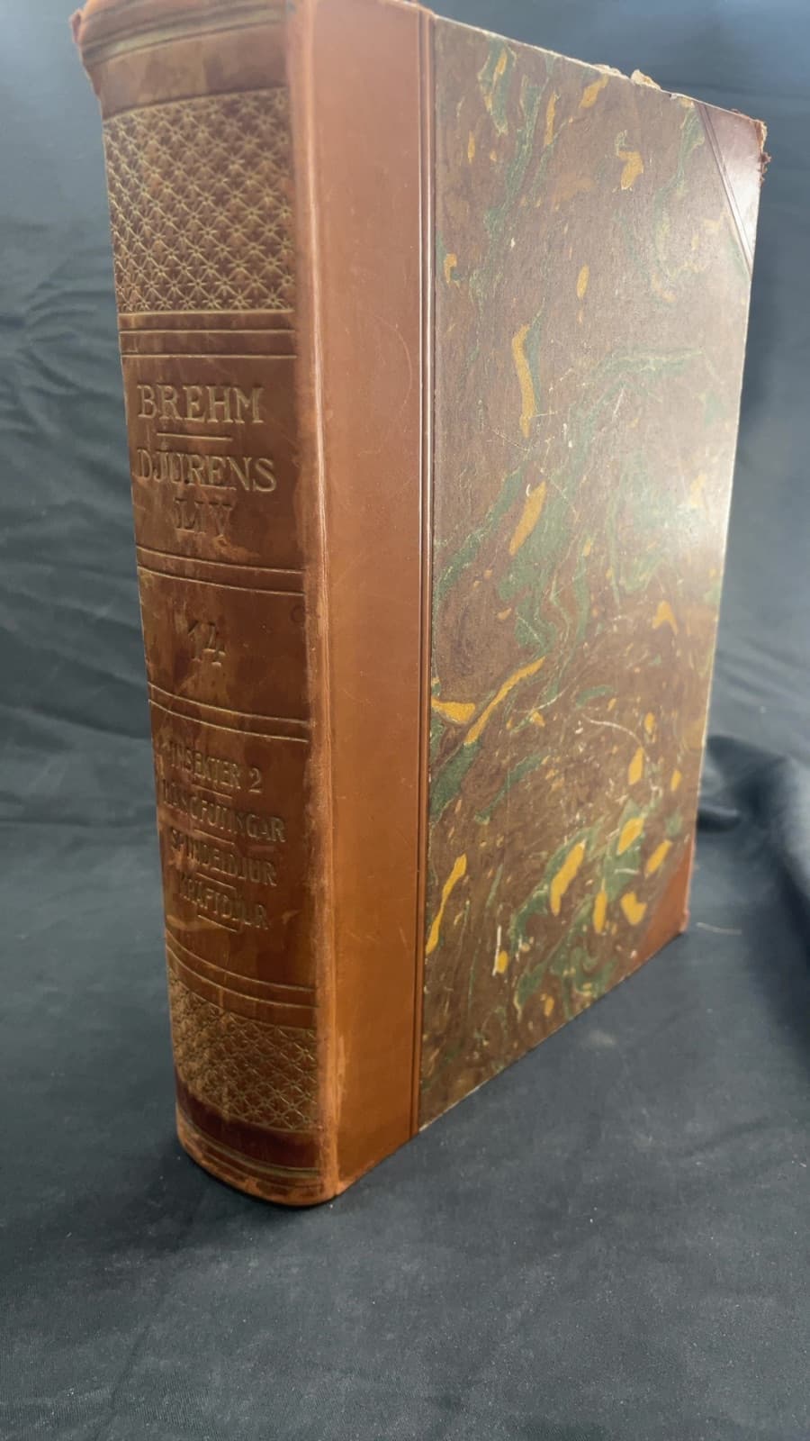 Brehm Djurens Liv Vol. 14 by Alarik Behm - front cover
