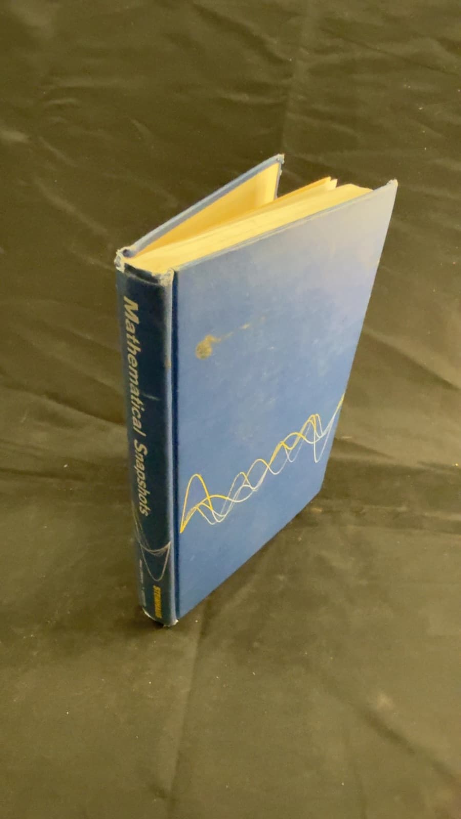 Mathematical Snapshots by H. Steinhaus - front cover