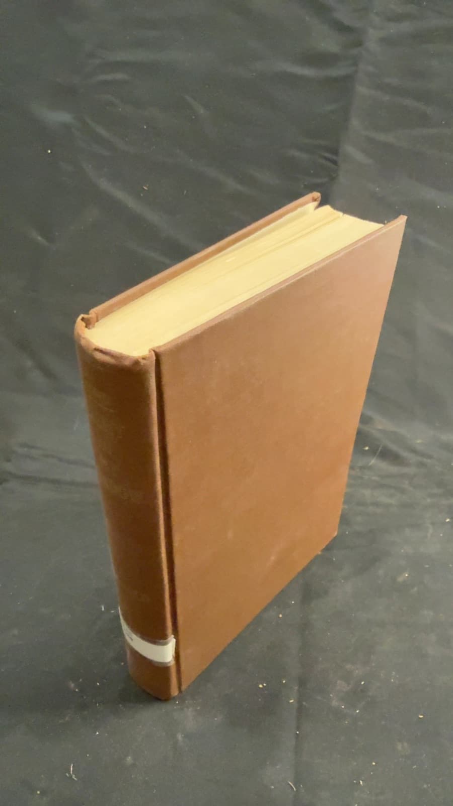 The Light in My Window by Francena H. Arnold - front cover