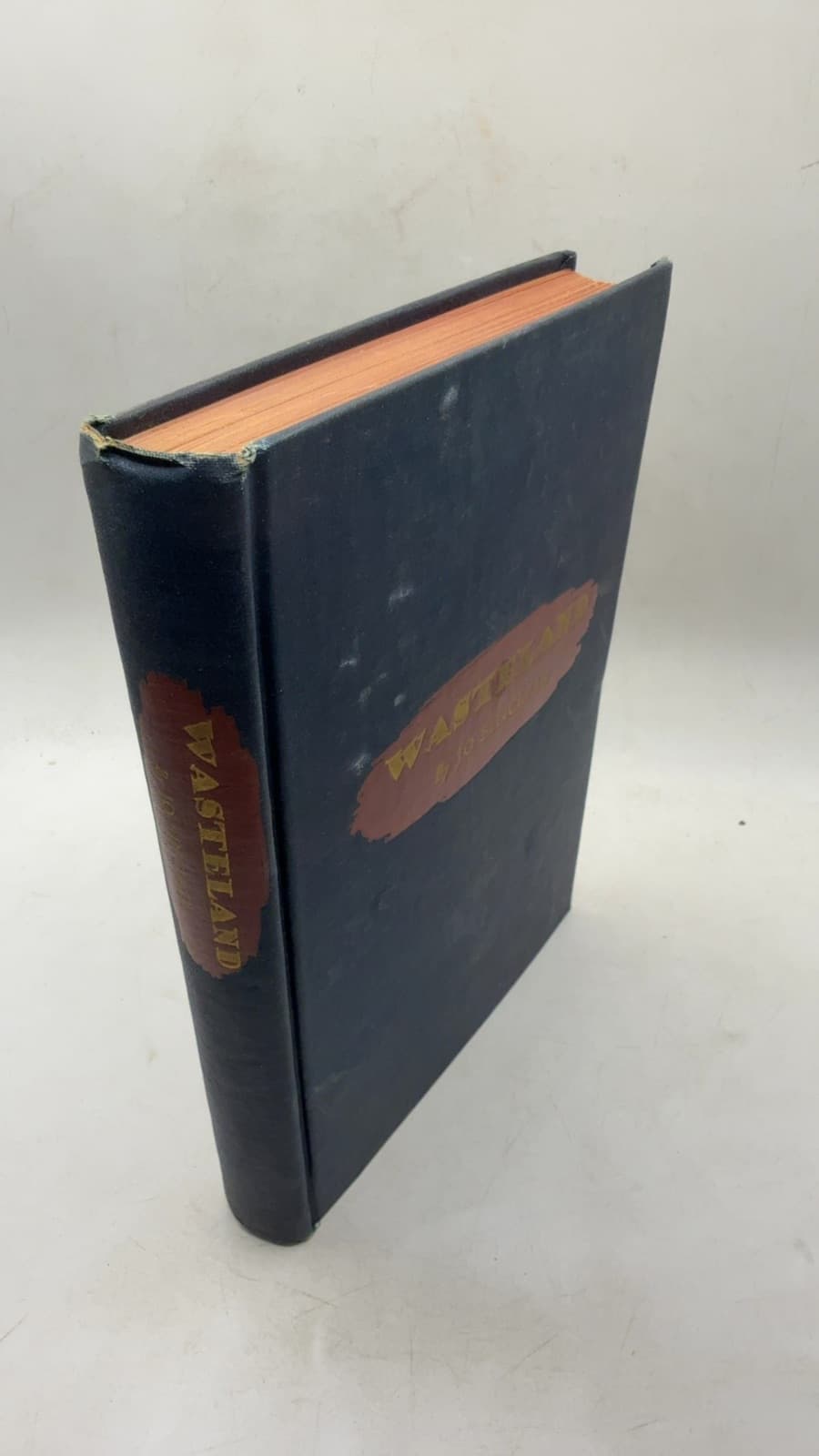 Wasteland by Jo Sinclair - front cover