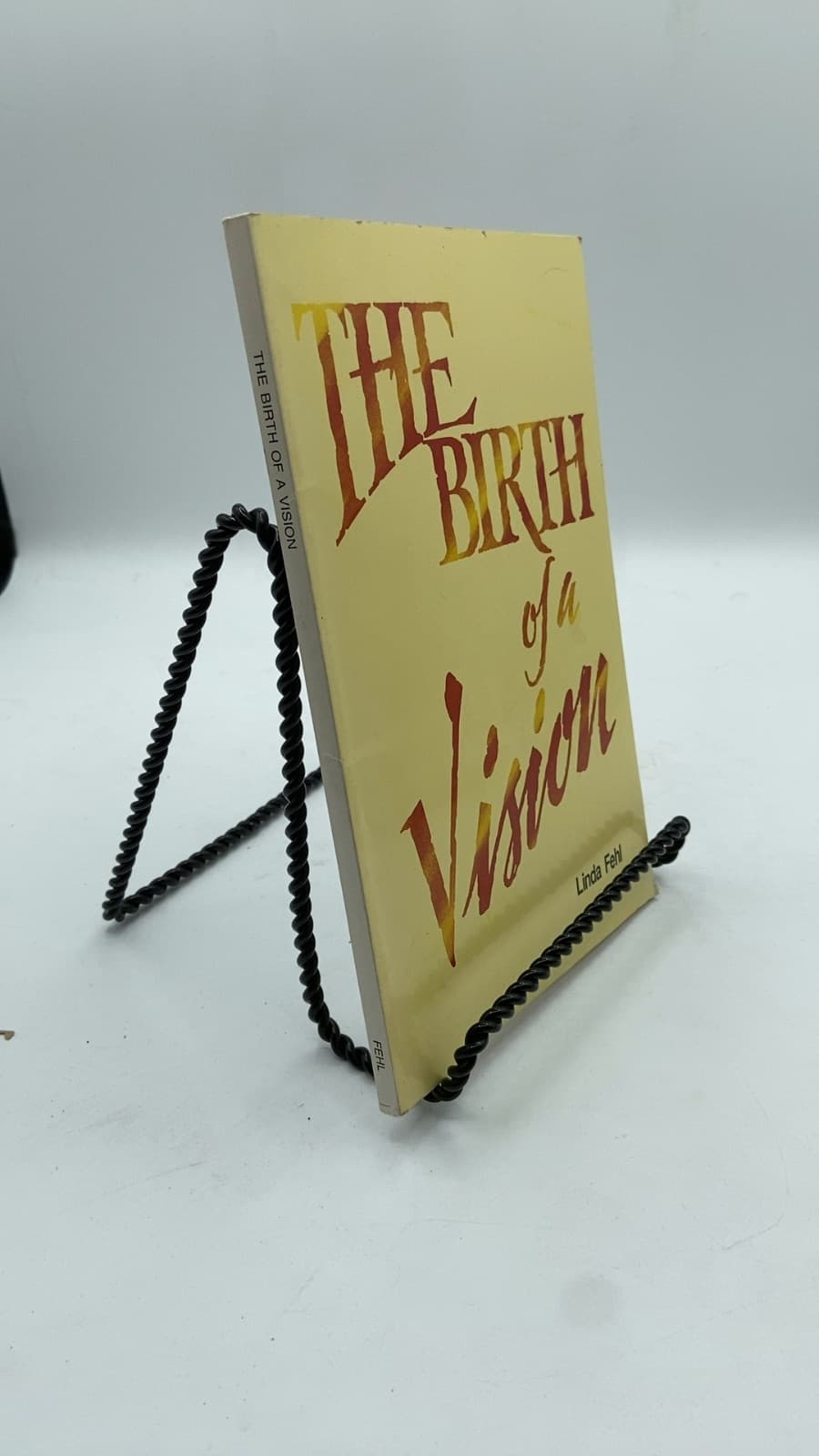 The Birth of a Vision by Linda A. Fehl - front cover