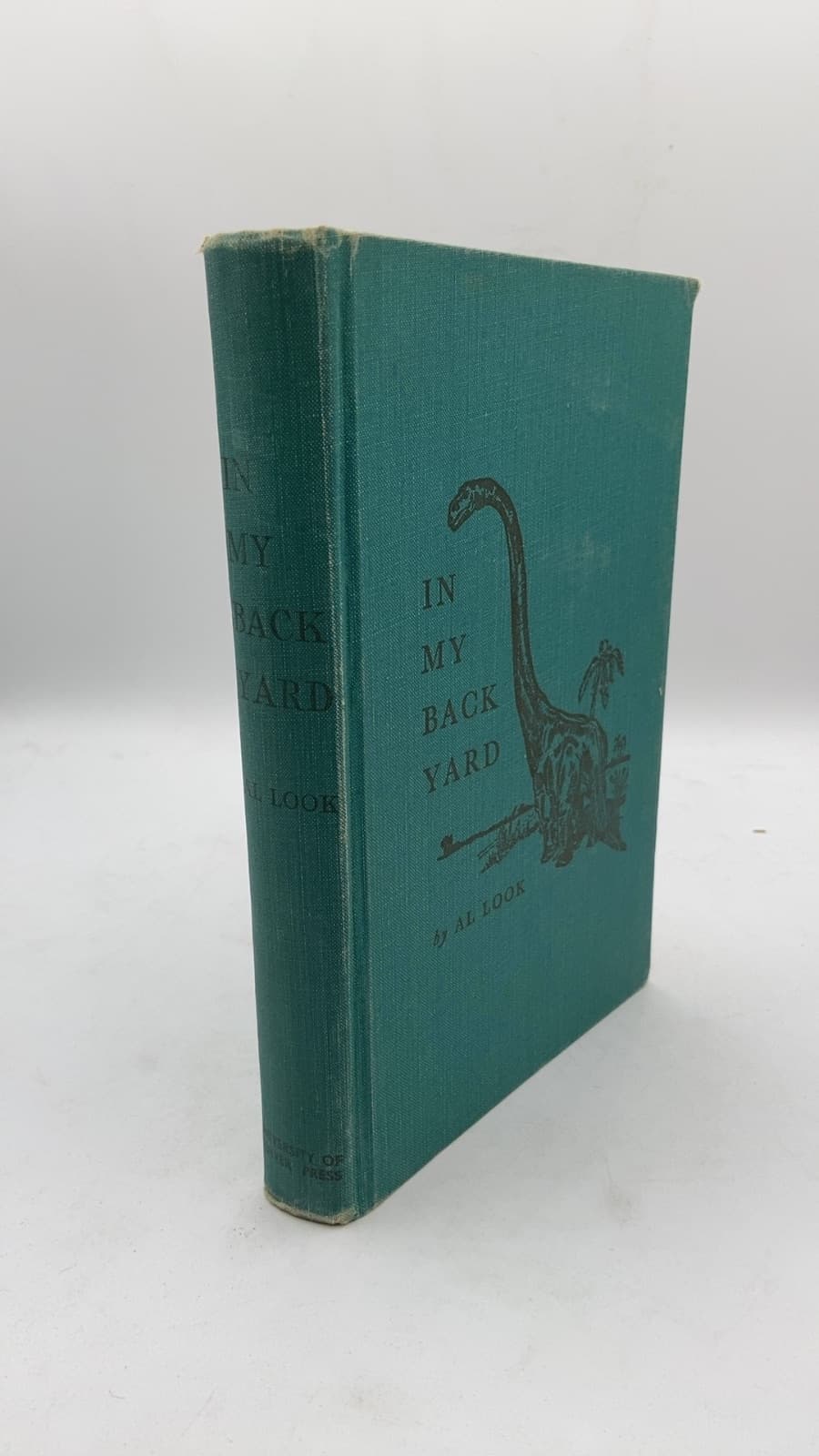 IN MY Back Yard by AL Look - front cover