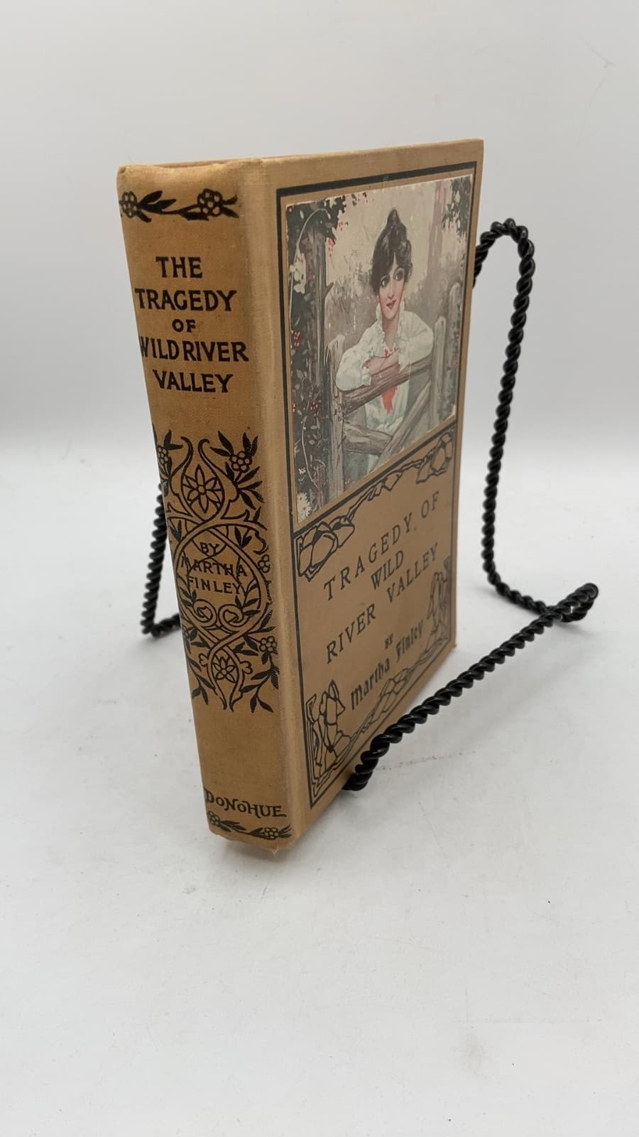 The Tragedy of Wild River Valley by Martha Finley - front cover