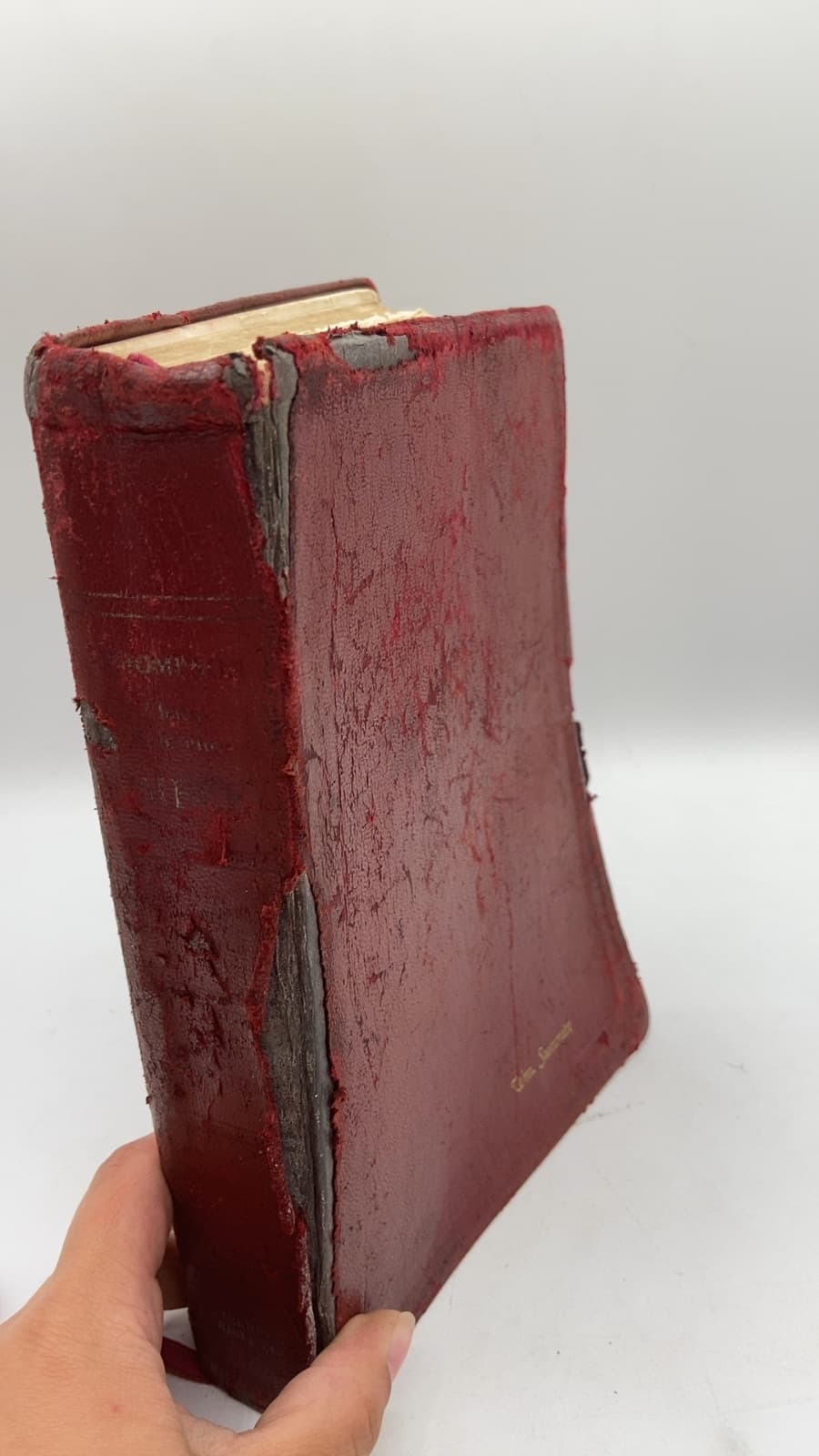 Thompson Chain-Reference Bible - front cover