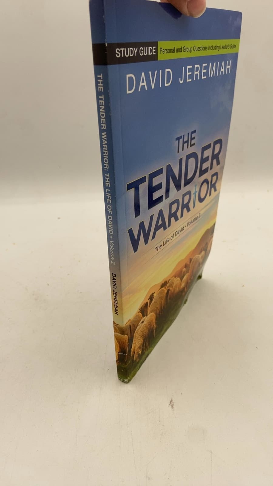 The Tender Warrior: The Life of David - Volume 2 by David Jeremiah - front cover
