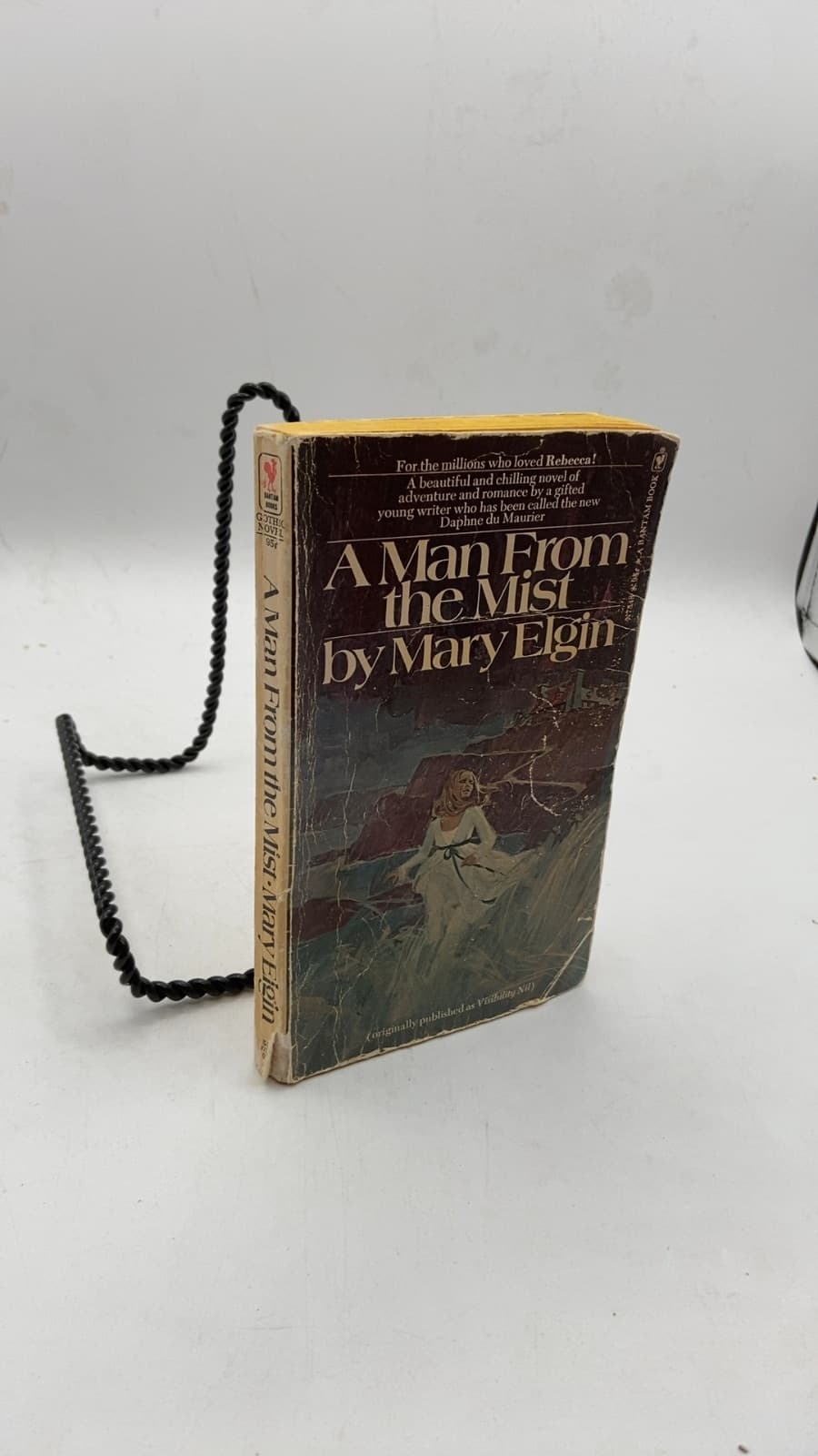 A Man From the Mist by Mary Elgin - front cover