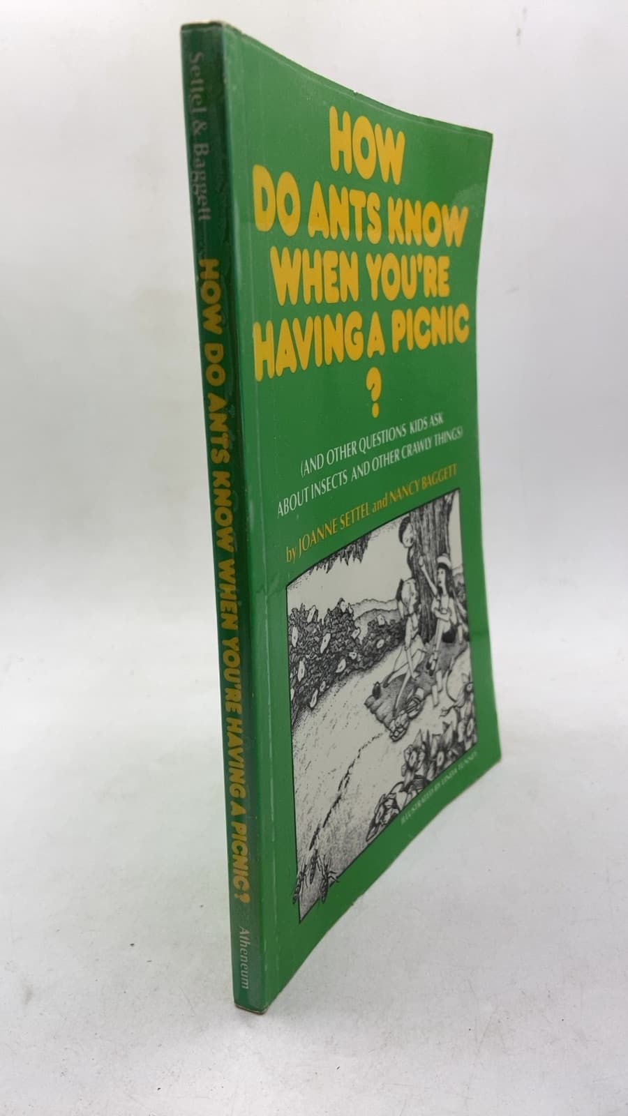 How Do Ants Know When You're Having a Picnic? by Joanne Settel and Nancy Baggett - front cover