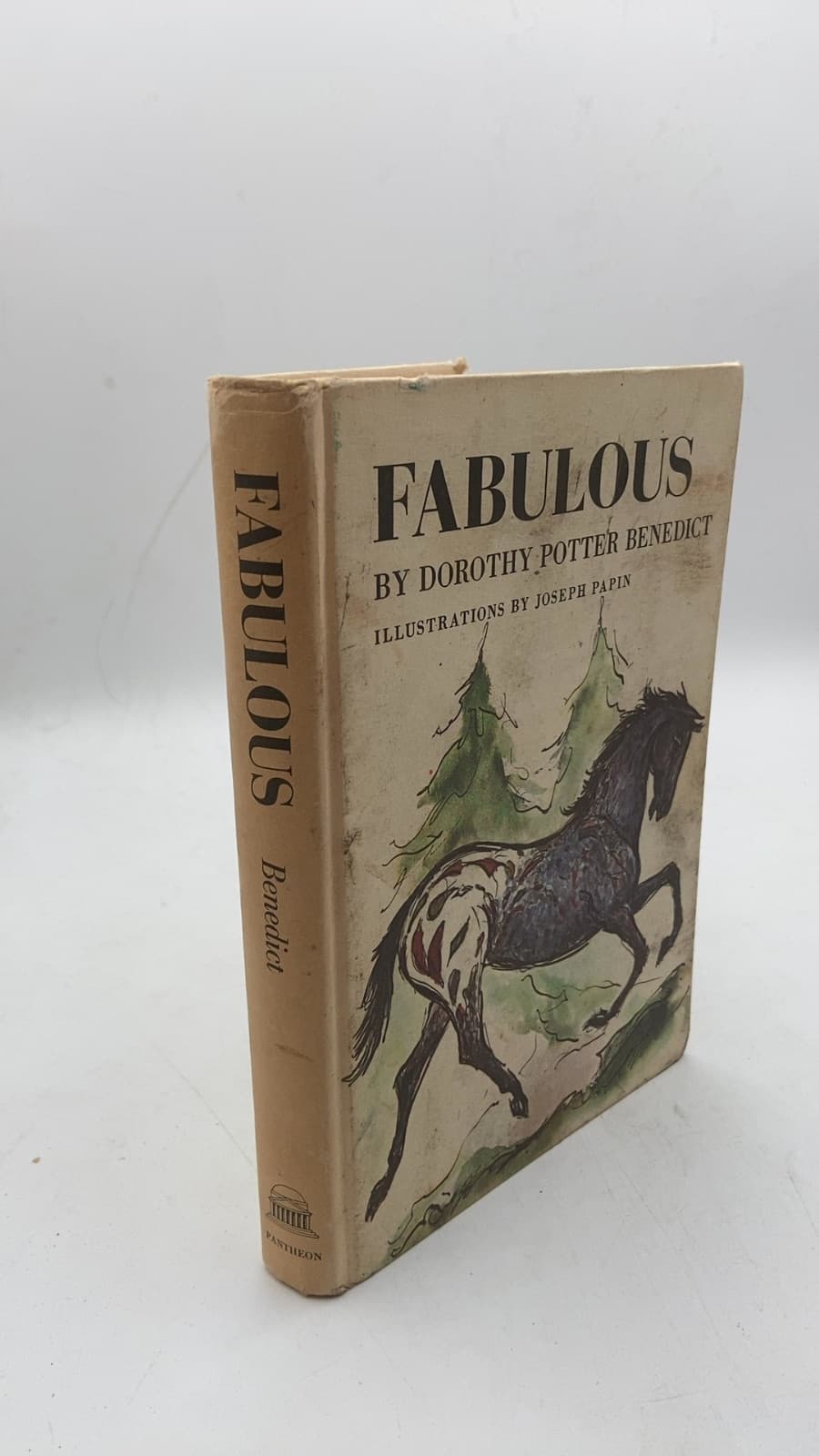 Fabulous by Dorothy Potter Benedict - front cover