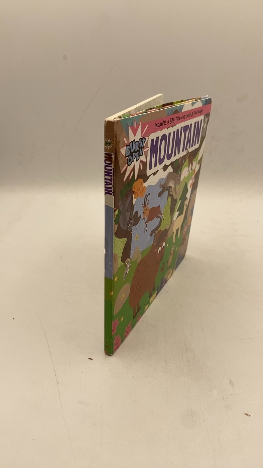 Burst Open Mountain - front cover