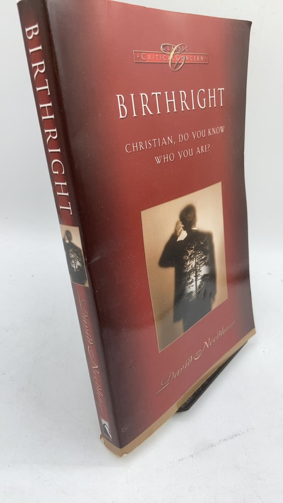 Birthright: Christian, Do You Know Who You Are? by David C. Needham - front cover