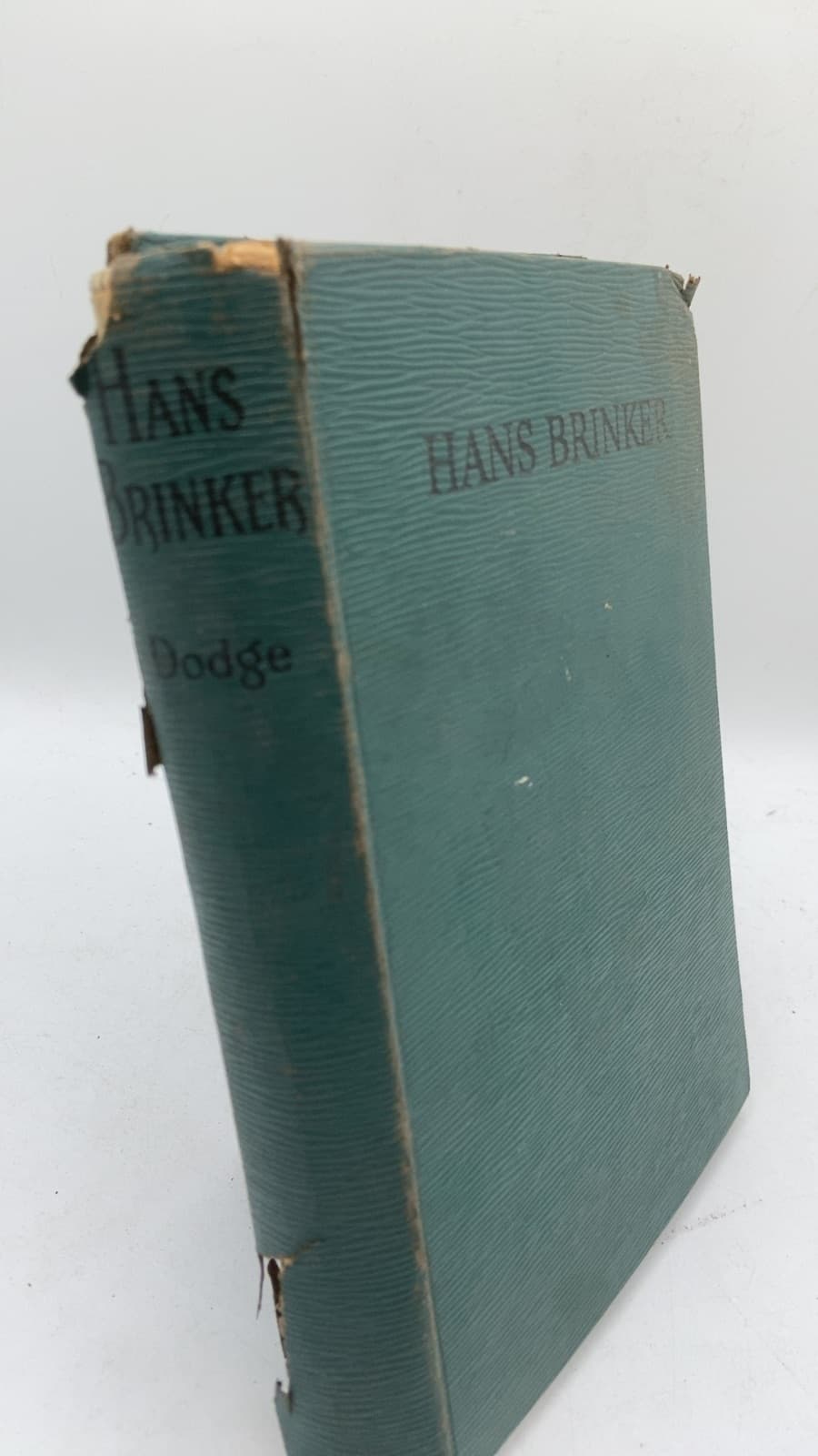 Hans Brinker or The Silver Skates by Mary Mapes Dodge - front cover