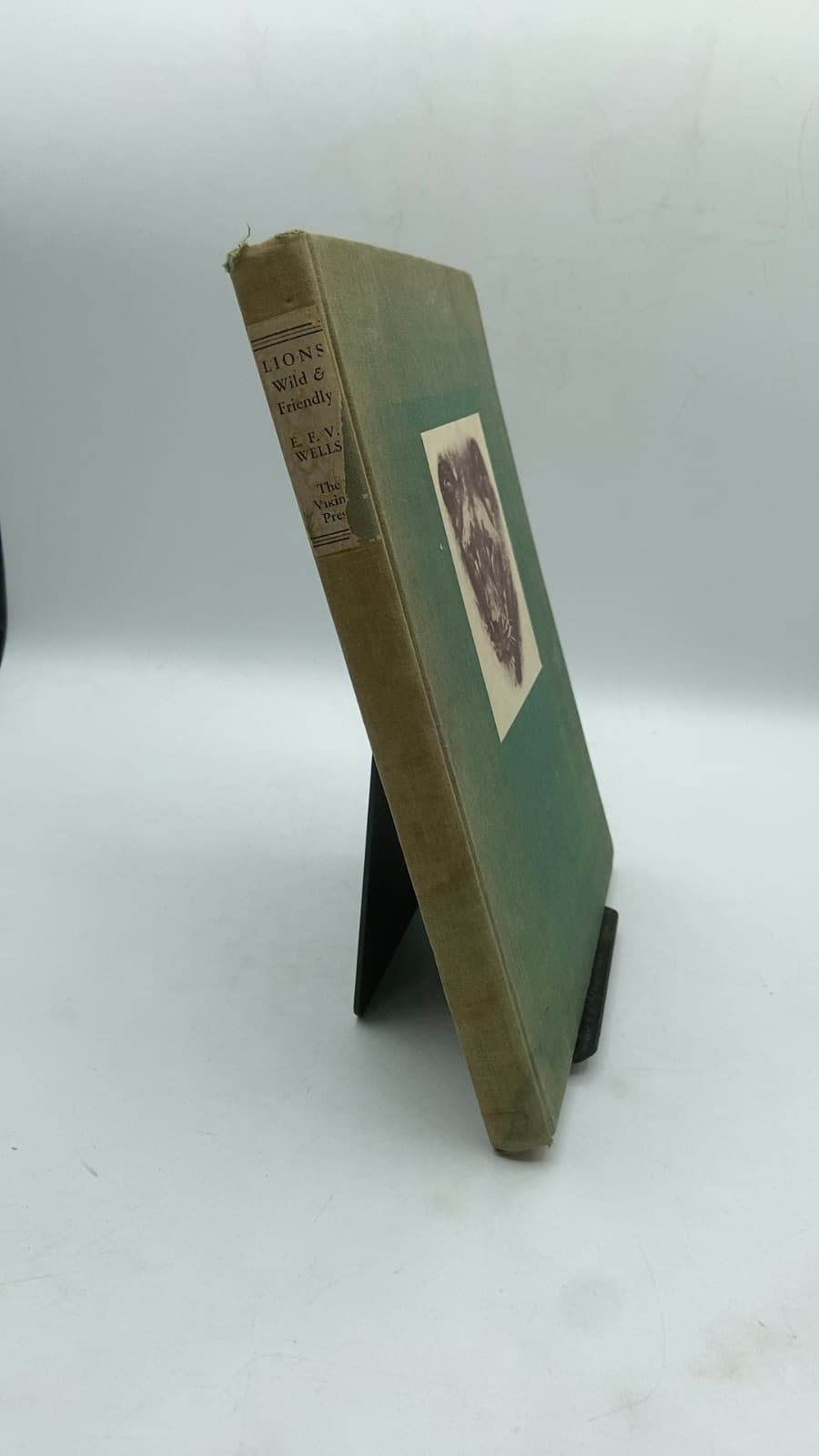 Lions Wild and Friendly by Eric F. V. Wells - front cover
