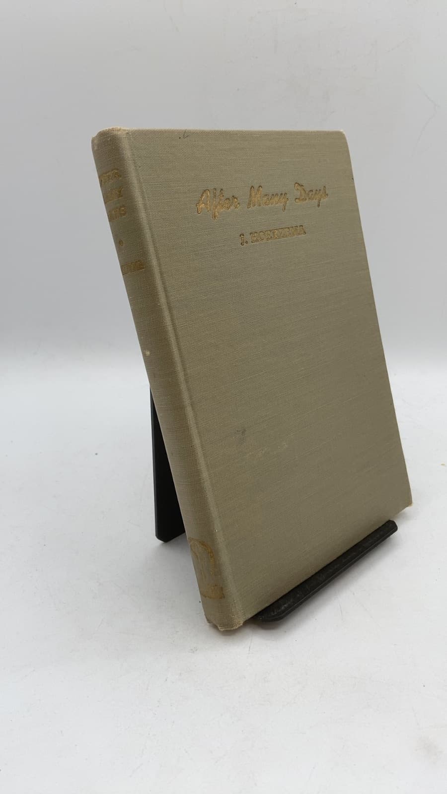 After Many Days by Joye Hoekzema - front cover