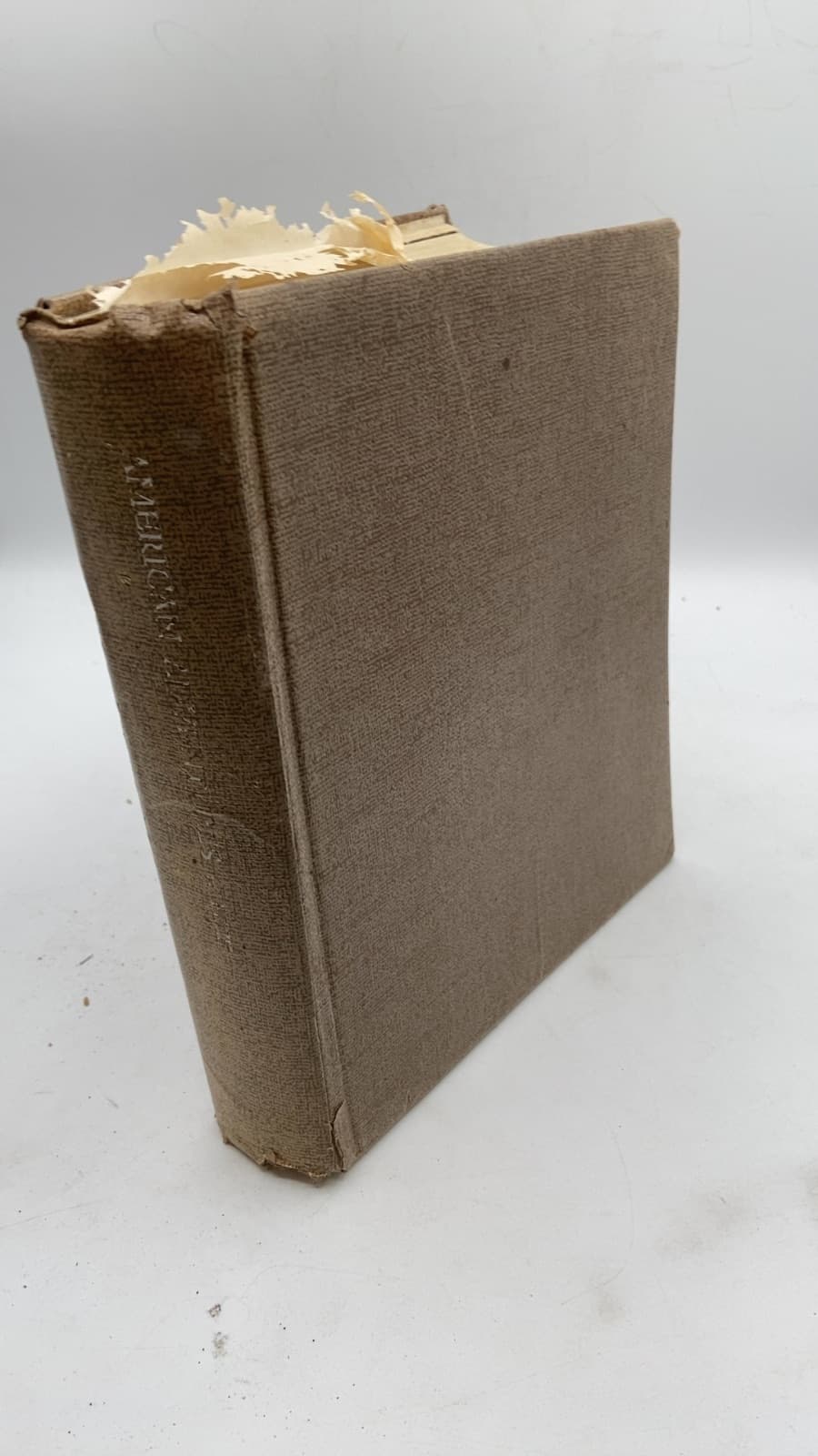 American Adventures by Ira Peck, Steven Jantzen, and Daniel Rosen - front cover
