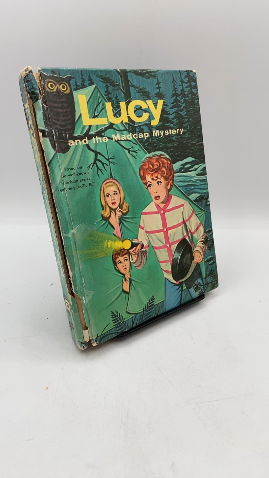 Lucy and the Madcap Mystery by Cole Fannin - front cover