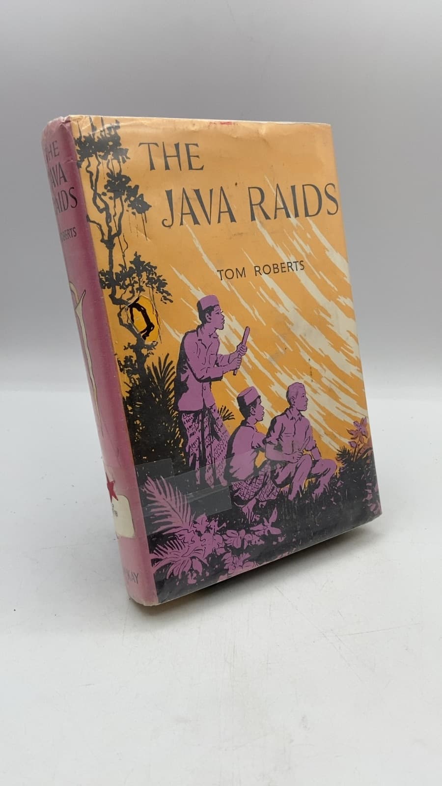 The Java Raids by Tom Roberts - front cover