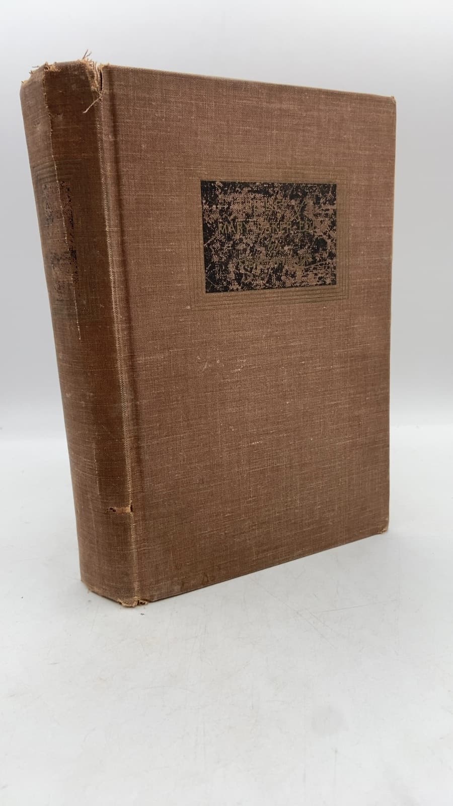 The Life of Mary Baker Eddy by Sibyl Wilbur - front cover