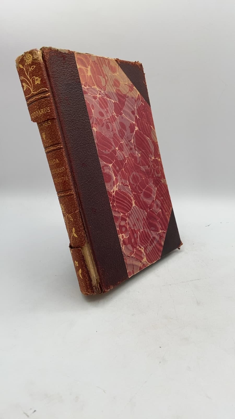 John L. Stoddard's Lectures, Supplementary Volume Number Two by John L. Stoddard - front cover