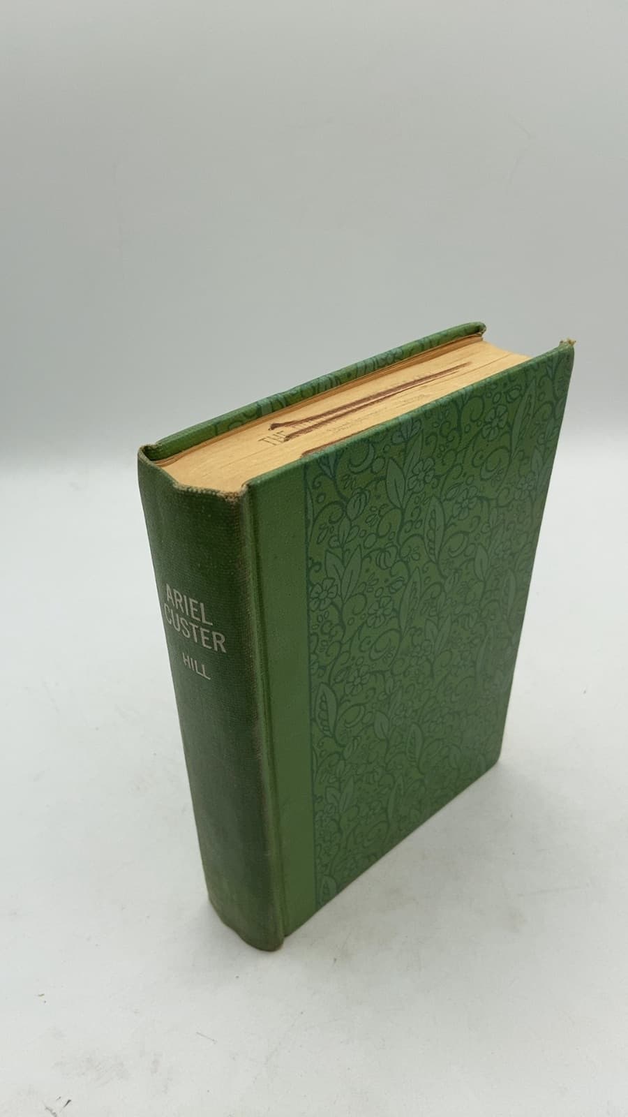Ariel Custer by Grace Livingston Hill - front cover