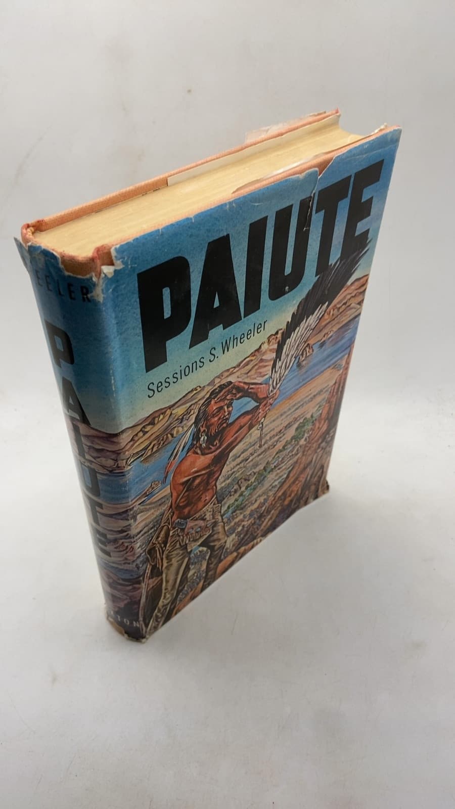 Paiute by Sessions S. Wheeler - front cover