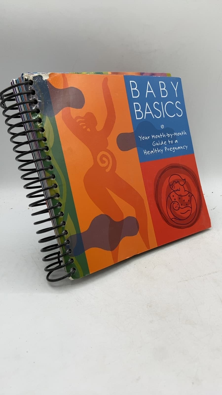 Baby Basics: Your Month-by-Month Guide to a Healthy Pregnancy by Heidi Murkoff, Lisa Bernstein-Dubno, Naomi Rand - front cover