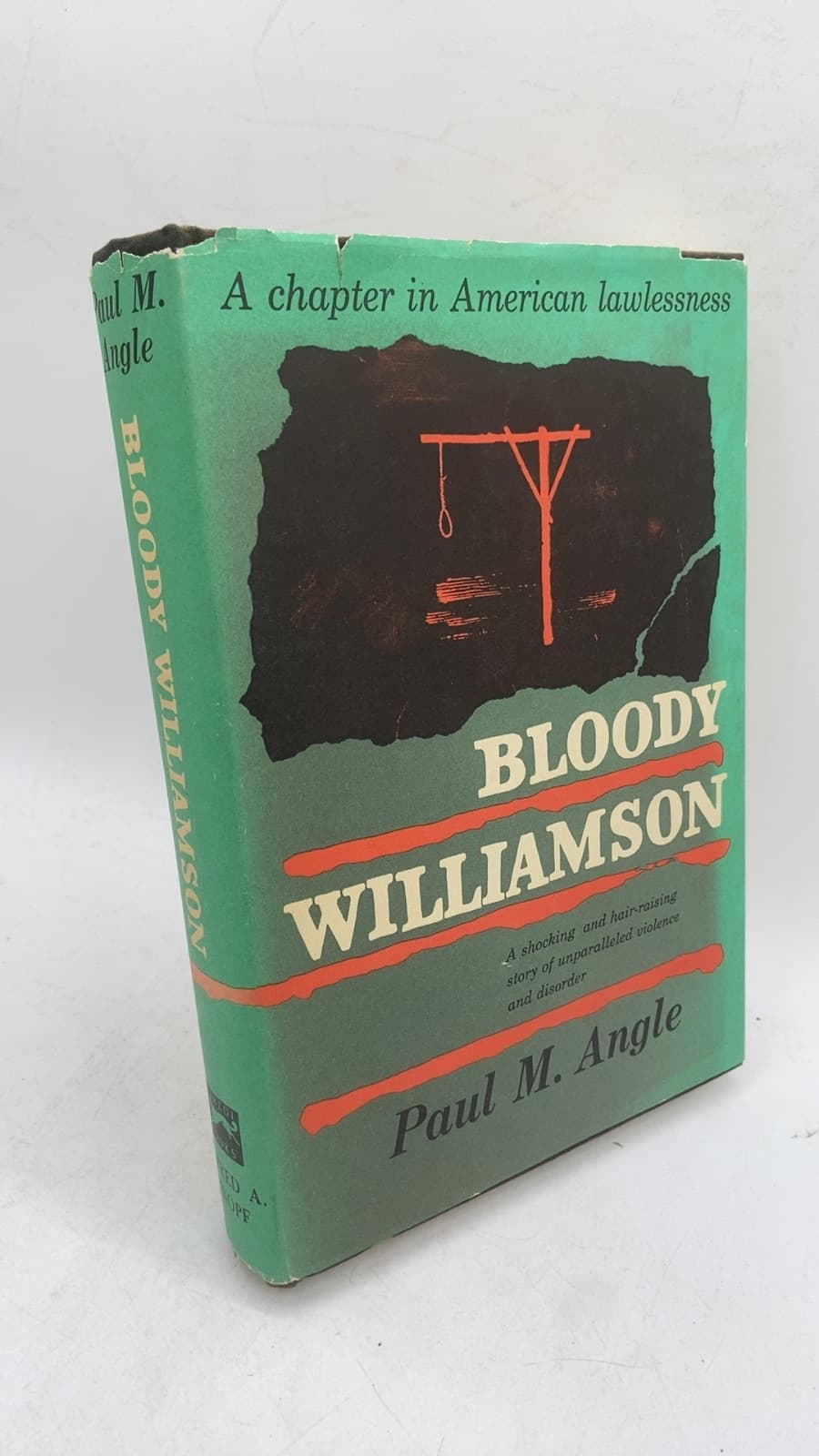 Bloody Williamson by Paul M. Angle - front cover