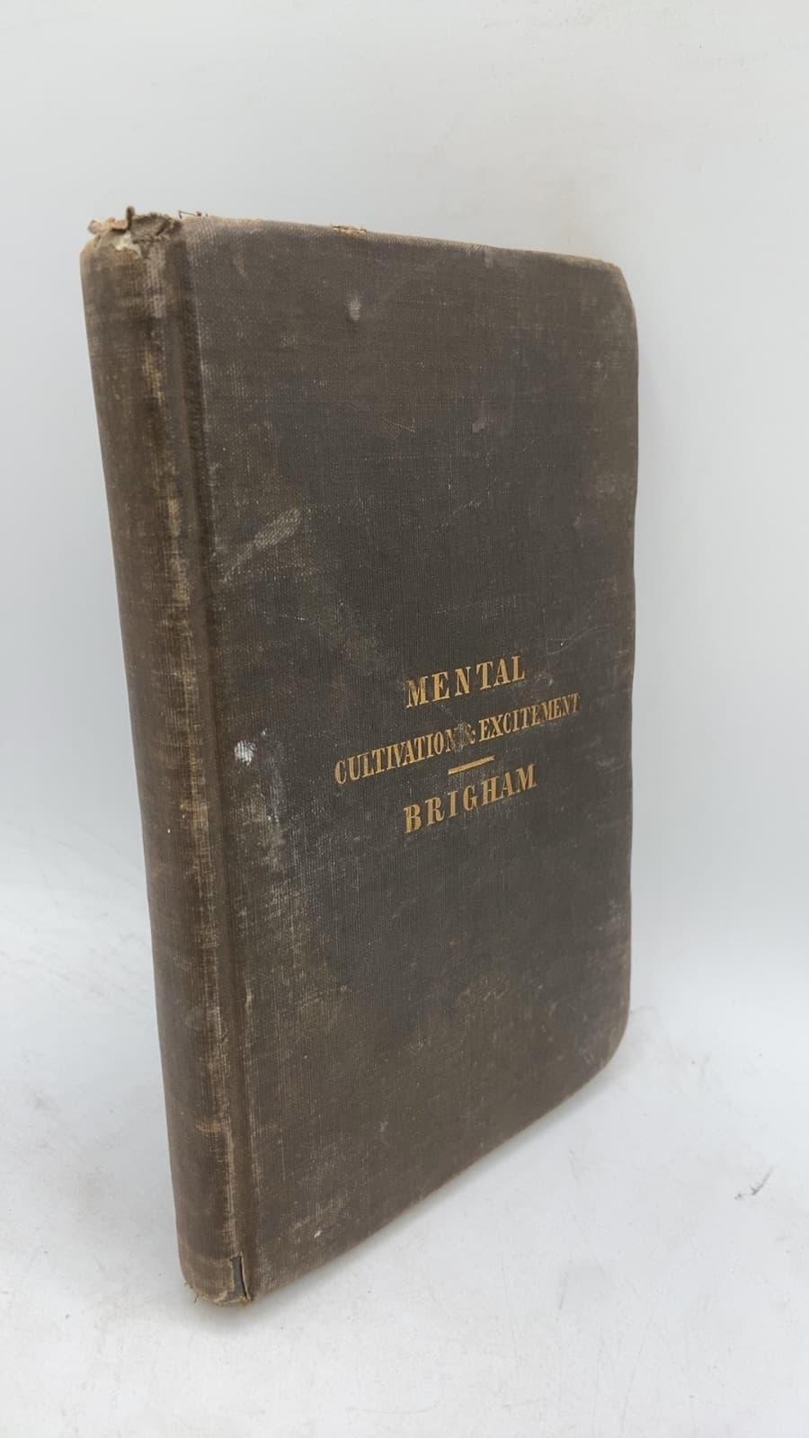 Influence of Mental Cultivation and Mental Excitement by Brigham - front cover