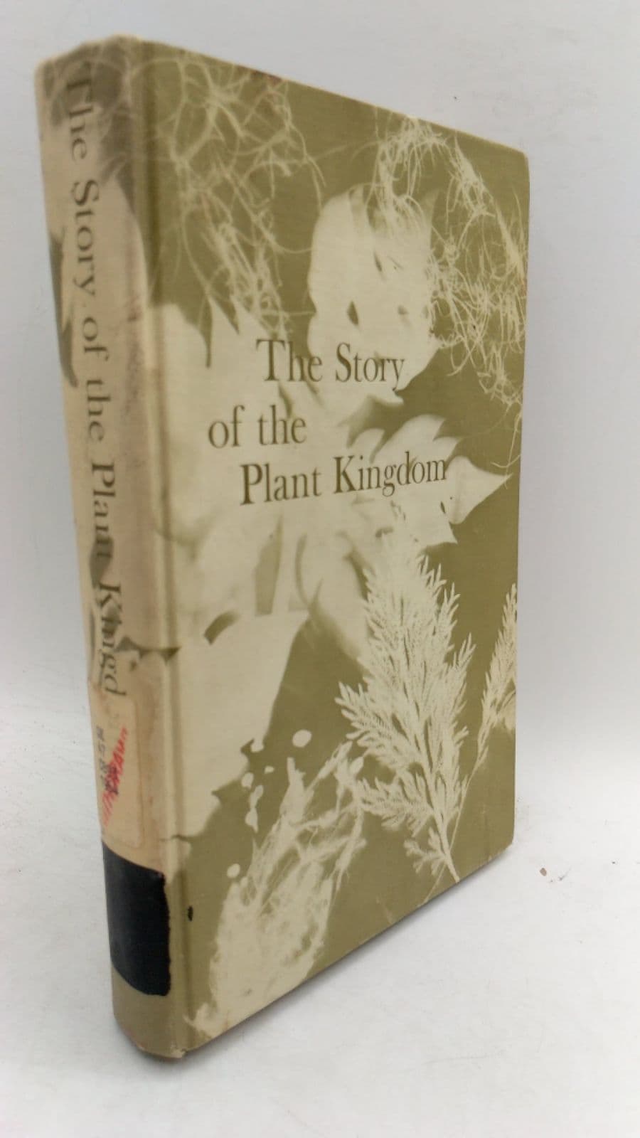 The Story of the Plant Kingdom by Merle C. Coulter, Howard J. Dittmer - front cover