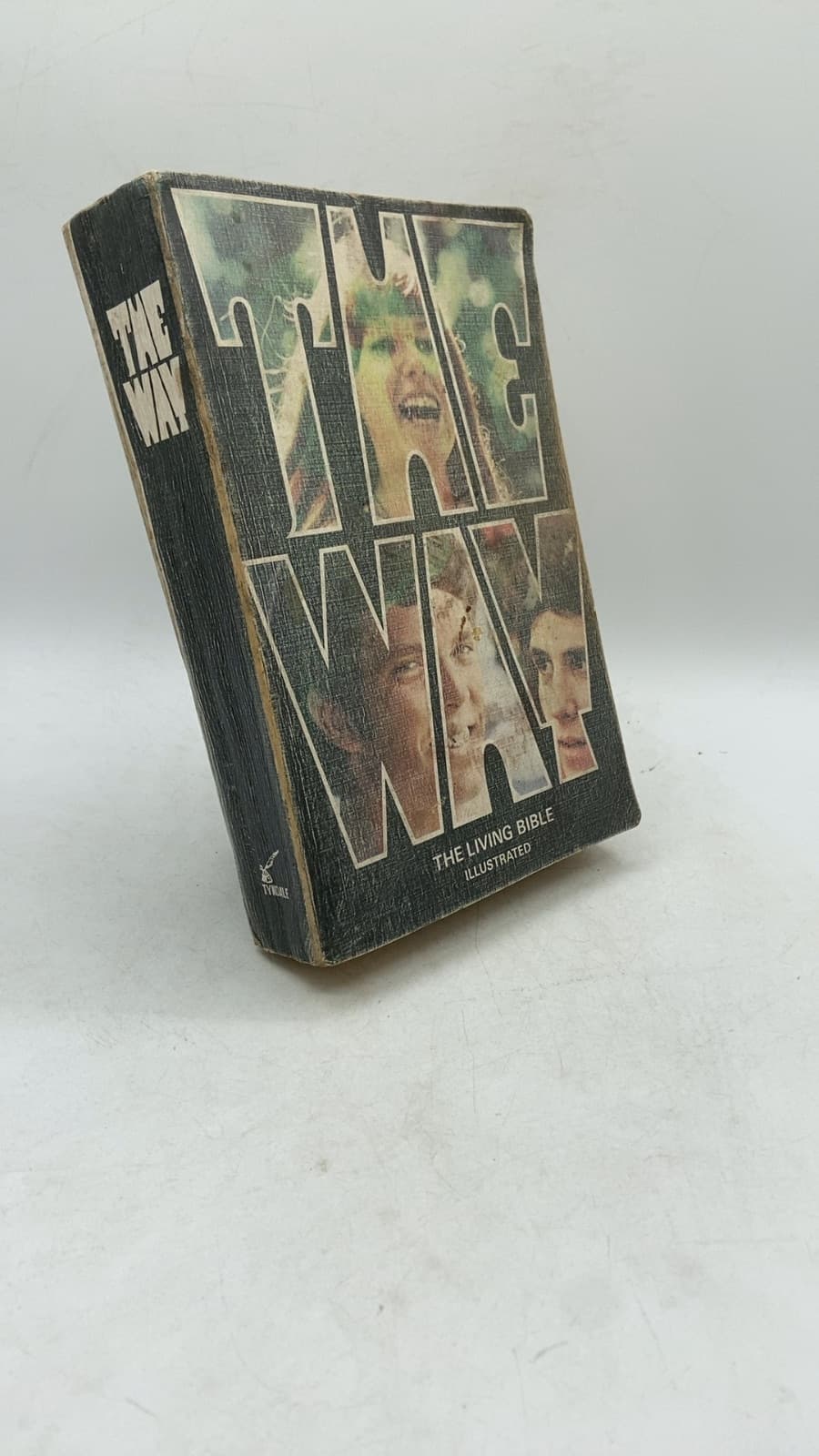 The Way: An Illustrated Edition of The Living Bible by Editors of Campus Life Magazine, Youth for Christ International - front cover