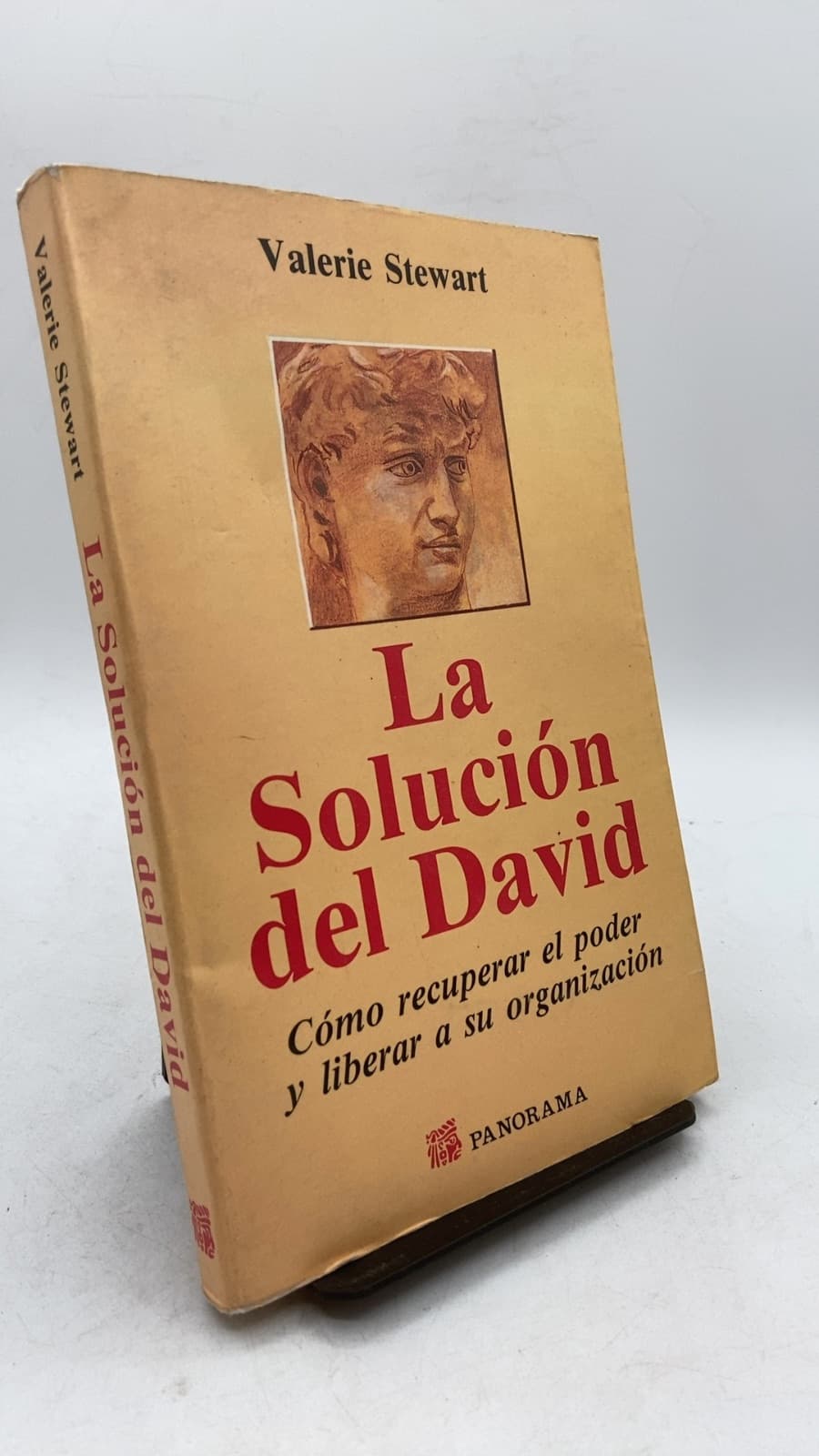 La solución del David: Cómo recuperar el poder y liberar a su organización by Valerie Stewart - front cover