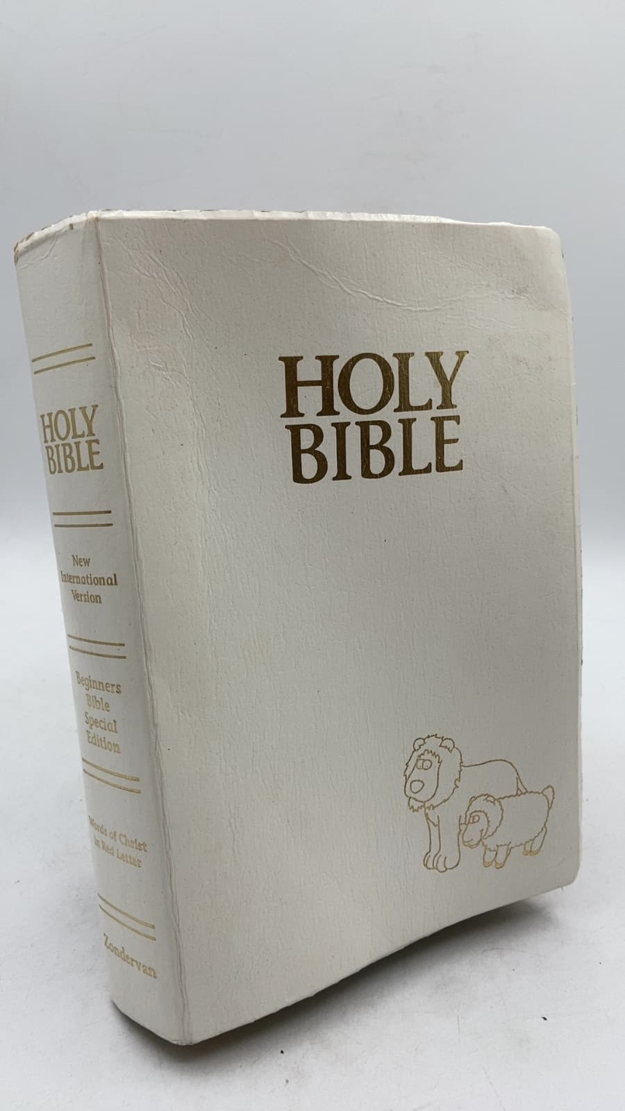 The Holy Bible, New International Version (Beginners Bible Special Edition) - front cover