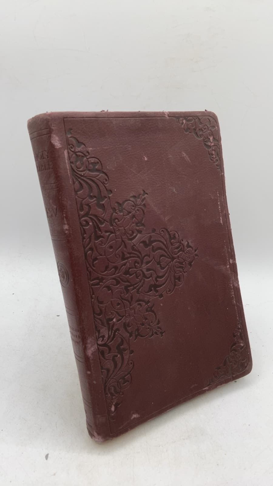 The Holy Bible: English Standard Version - front cover