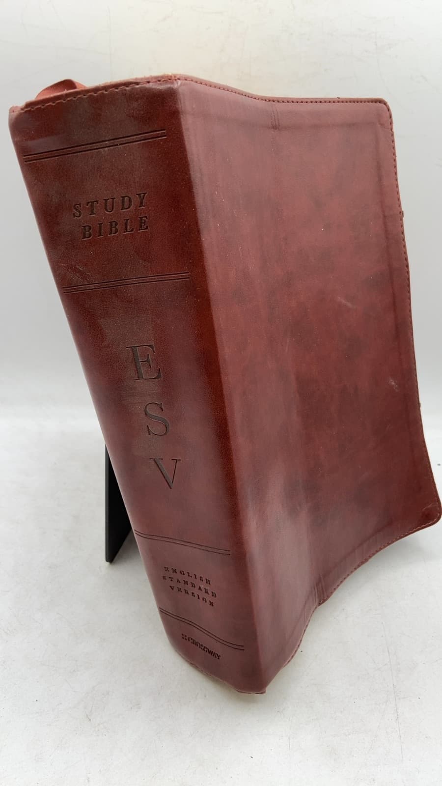 ESV Study Bible - front cover