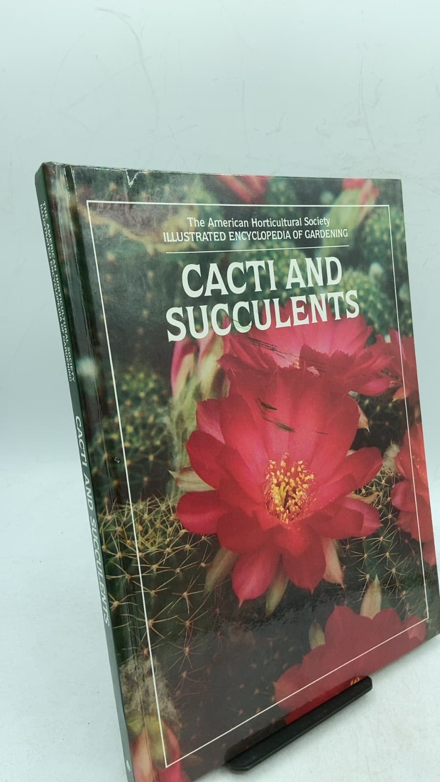 Cacti and Succulents by Alice Quiros and Barbara L. Young - front cover