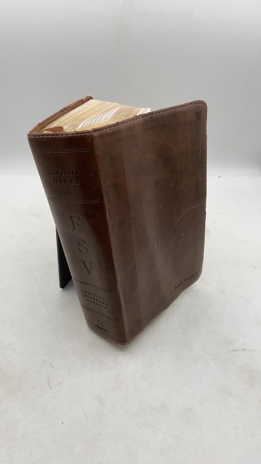 ESV Study Bible - front cover