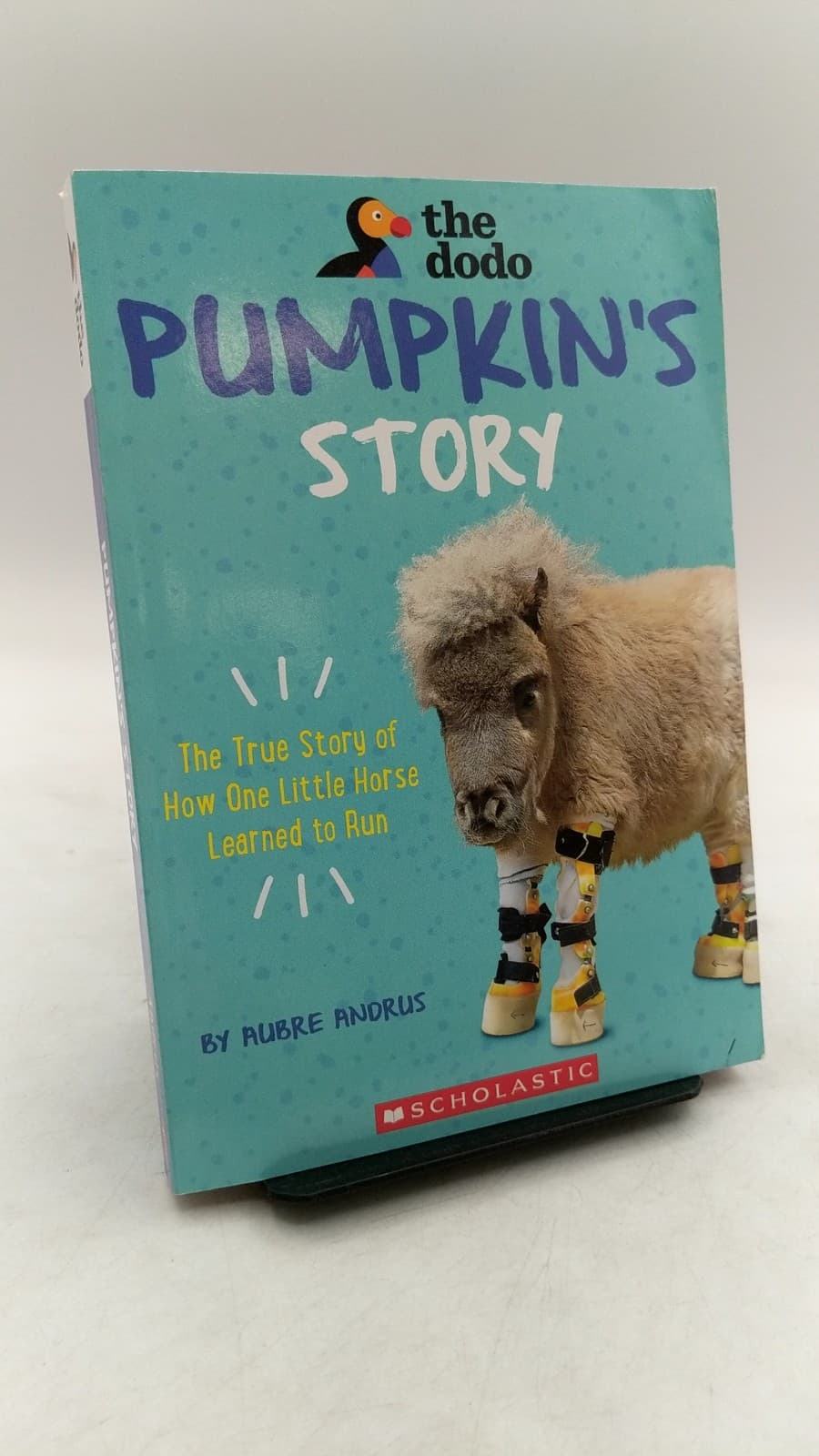 Pumpkin's Story: The True Story of How One Little Horse Learned to Run by Aubre Andrus - front cover